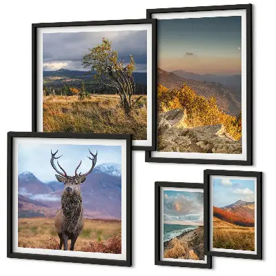 Set van moderne schilderijen met berglandschappen en wilde dieren