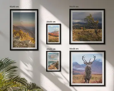 Set van moderne schilderijen met berglandschappen en wilde dieren
