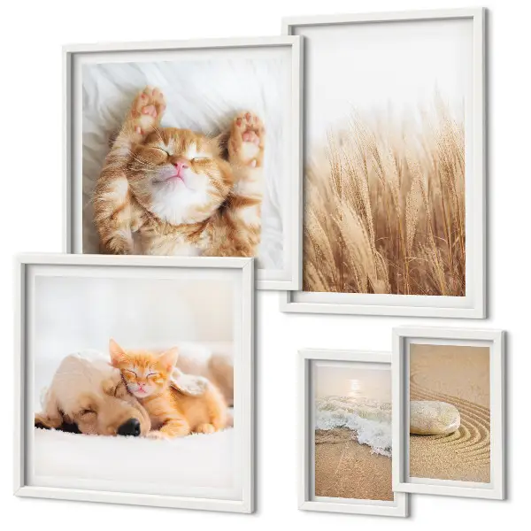 Moderne schilderijen set met schattige dierenlandschappen