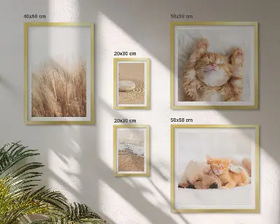 Moderne schilderijen set met schattige dierenlandschappen