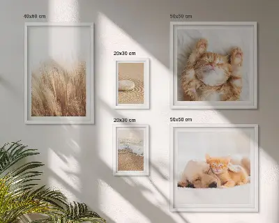 Moderne schilderijen set met schattige dierenlandschappen