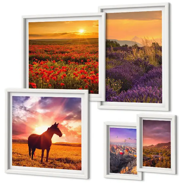 Gallerijwand natuurlandschappen, paarden en bloemen