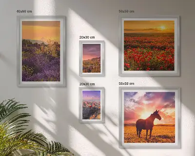 Gallerijwand natuurlandschappen, paarden en bloemen