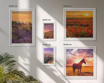 Gallerijwand natuurlandschappen, paarden en bloemen