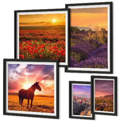 Gallerijwand natuurlandschappen, paarden en bloemen