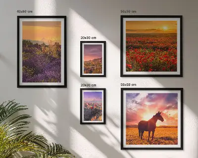Gallerijwand natuurlandschappen, paarden en bloemen