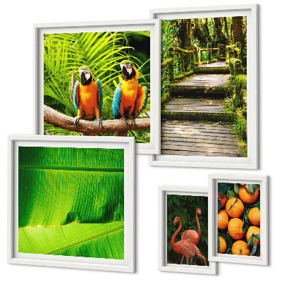Moderne schilderijen set Tropische natuur fruitmotieven
