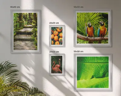 Set van moderne schilderijen met tropische fruitmotieven uit de natuur