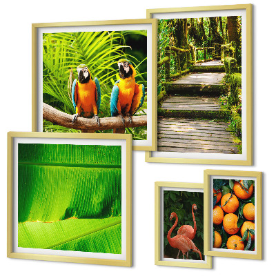 Moderne schilderijen set Tropische natuur fruitmotieven