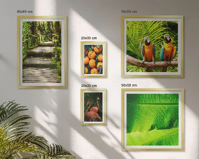 Set van moderne schilderijen met tropische fruitmotieven uit de natuur
