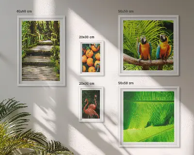 Set van moderne schilderijen met tropische fruitmotieven uit de natuur