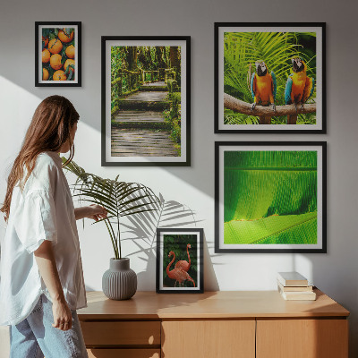Moderne schilderijen set Tropische natuur fruitmotieven