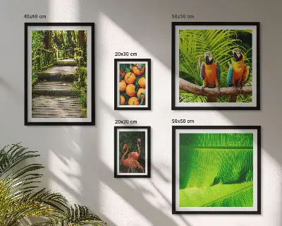 Set van moderne schilderijen met tropische fruitmotieven uit de natuur