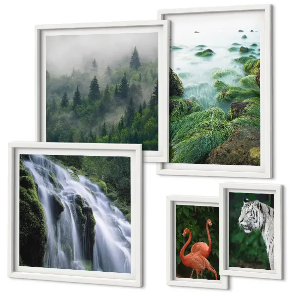 Gallery wall met natuur, wilde dieren en landschappen