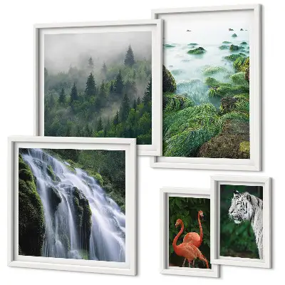 Gallery wall Natuur, wilde dieren, landschappen