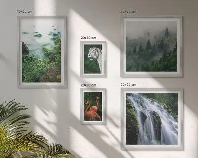 Gallery wall met natuur, wilde dieren en landschappen