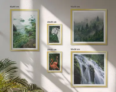 Gallery wall met natuur, wilde dieren en landschappen