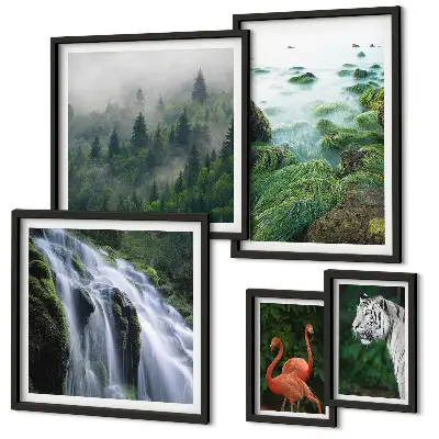 Gallery wall met natuur, wilde dieren en landschappen