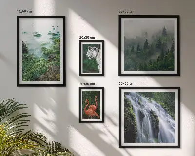 Gallery wall met natuur, wilde dieren en landschappen