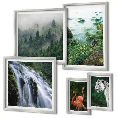 Gallery wall met natuur, wilde dieren en landschappen