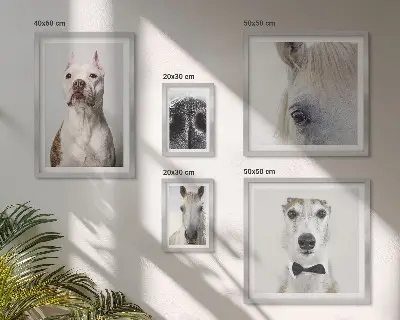 Wanddecoratie compositie Moderne dierenportretten