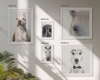Wanddecoratie compositie Moderne dierenportretten