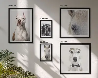 Wanddecoratie compositie Moderne dierenportretten