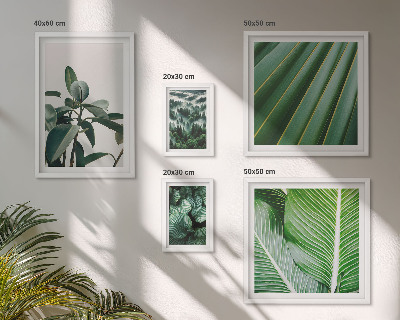Wanddecoratie compositie Inspiratiebronnen uit tropische planten