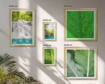 Moderne schilderijen set Tropische palmwatervallen