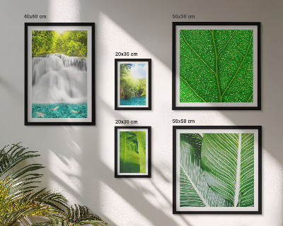 Moderne schilderijen set Tropische palmwatervallen