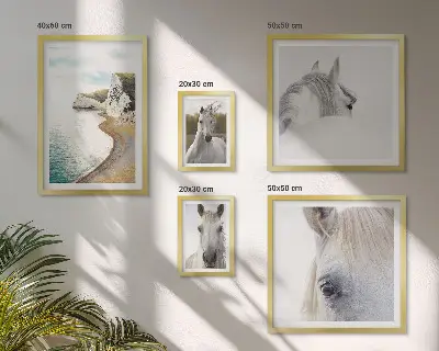 Gallery wall met paarden, strand en natuur in een minimalistische stijl
