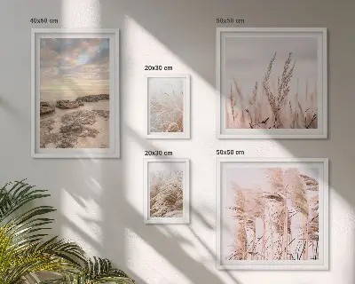Gallery wall kustlandschappen met zon