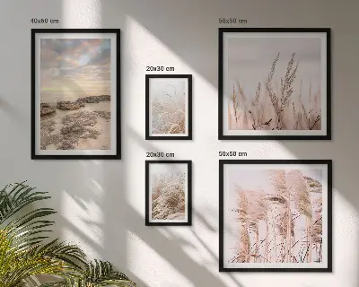 Gallery wall kustlandschappen met zon