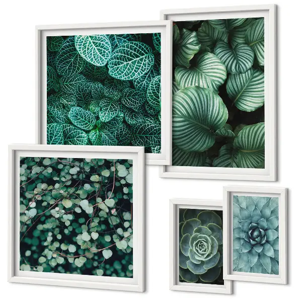 Gallery wall met plantenbladeren, vetplanten en natuurmotieven