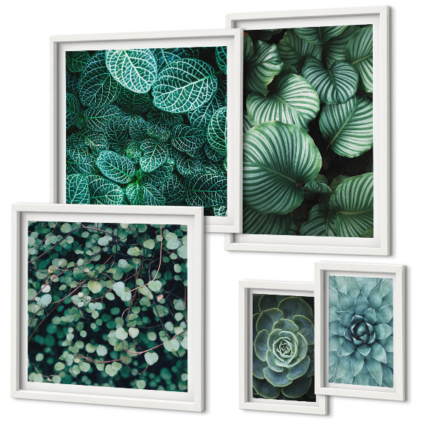 Gallery wall Plantenbladeren, vetplanten, natuur