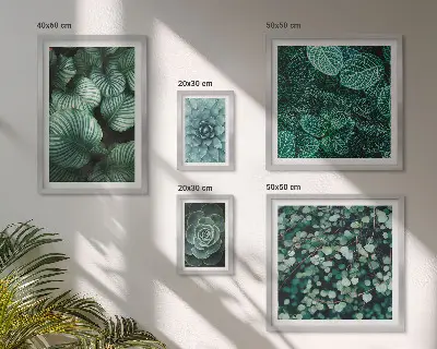 Gallery wall met plantenbladeren, vetplanten en natuurmotieven