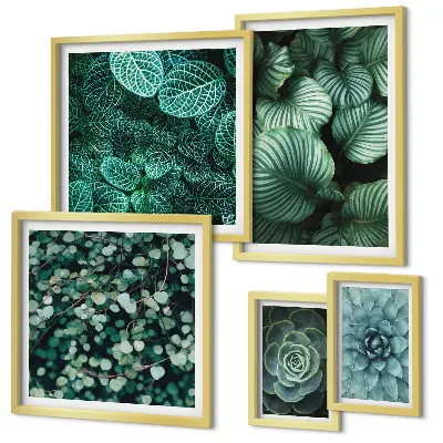 Gallery wall met plantenbladeren, vetplanten en natuurmotieven