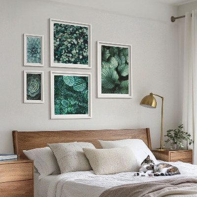 Gallery wall Plantenbladeren, vetplanten, natuur