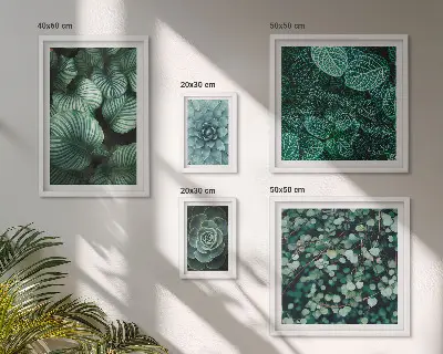 Gallery wall met plantenbladeren, vetplanten en natuurmotieven