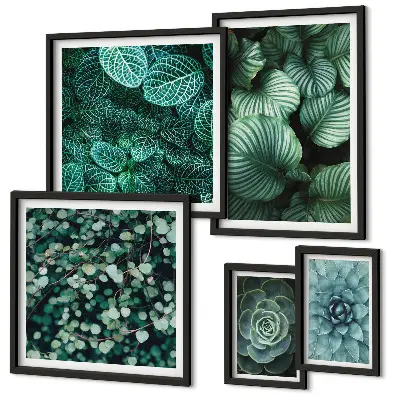 Gallery wall met plantenbladeren, vetplanten en natuurmotieven