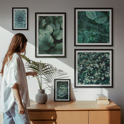 Gallery wall Plantenbladeren, vetplanten, natuur