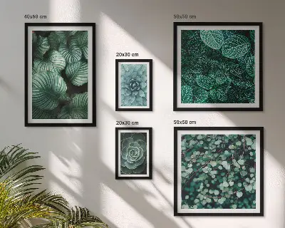 Gallery wall met plantenbladeren, vetplanten en natuurmotieven