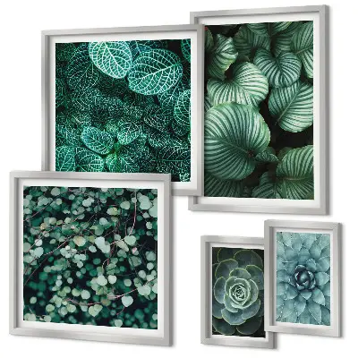 Gallery wall met plantenbladeren, vetplanten en natuurmotieven
