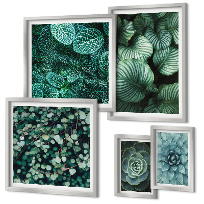 Gallery wall Plantenbladeren, vetplanten, natuur