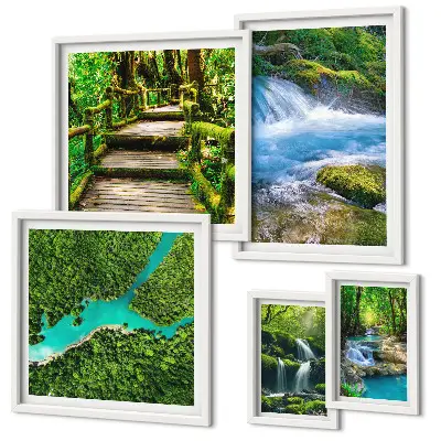 Gallery wall Groene oases van rust in het bos