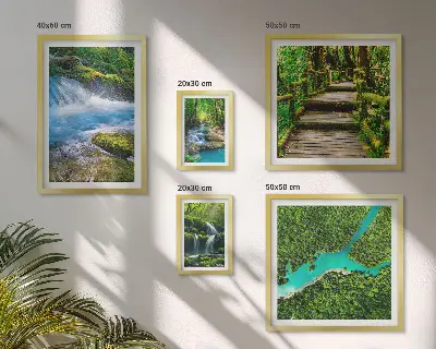 Gallery wall Groene oases van rust in het bos