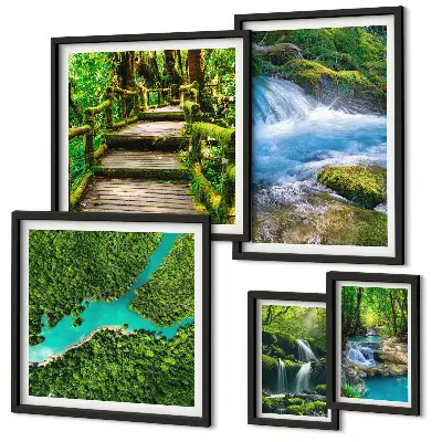 Gallery wall Groene oases van rust in het bos