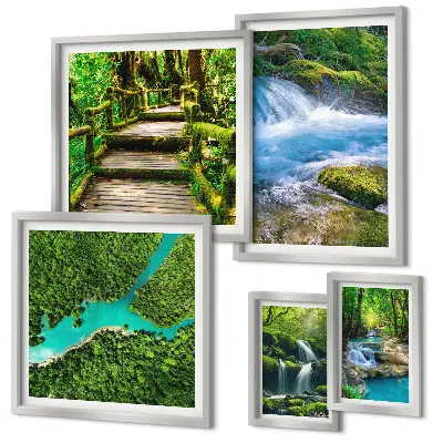 Gallery wall Groene oases van rust in het bos