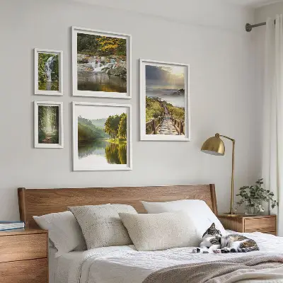 Moderne schilderijen set met natuurlandschappen van watervallen en bospaden