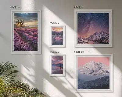 Gallery wall met natuurlandschappen en lavendelbergen